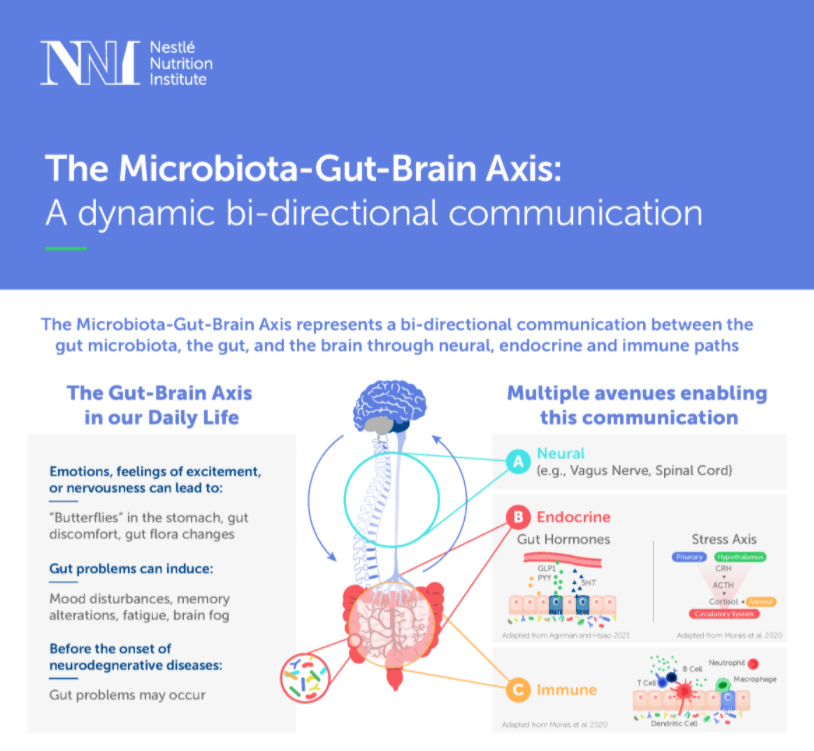 microbiota infographic.png
