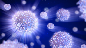 Nutrition and Immunity