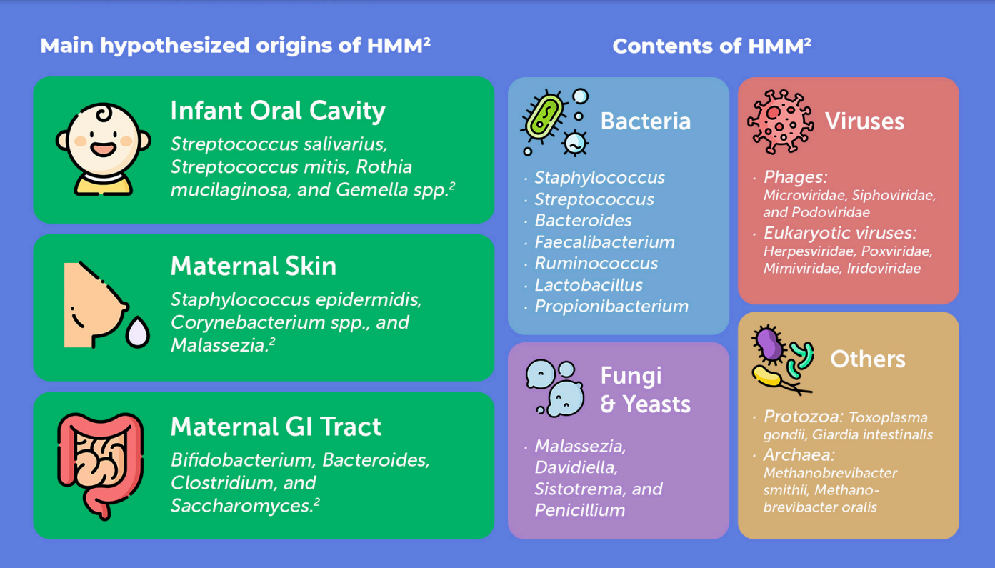 The Human Milk Microbiome: A living ecosystem that benefits mothers and infants The Human Milk Microbiome: A living ecosystem that benefits mothers and infants
