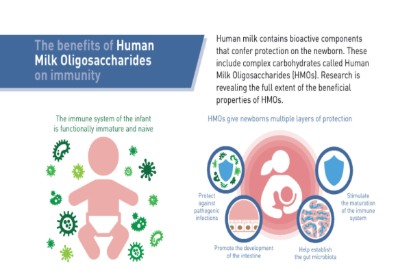 the benefits of HMOs on immunity.png
