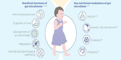 Effect of Nutrition on Toddlers' Overall Health