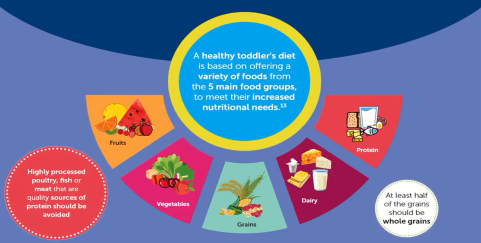 What Toddlers Should and Should Not Eat