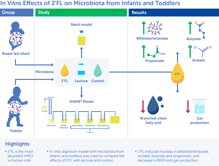 A Comparison of the In Vitro Effects of 2’Fucosyllactose and Lactose on the Composition and Activity of Gut Microbiota from Infants and Toddlers