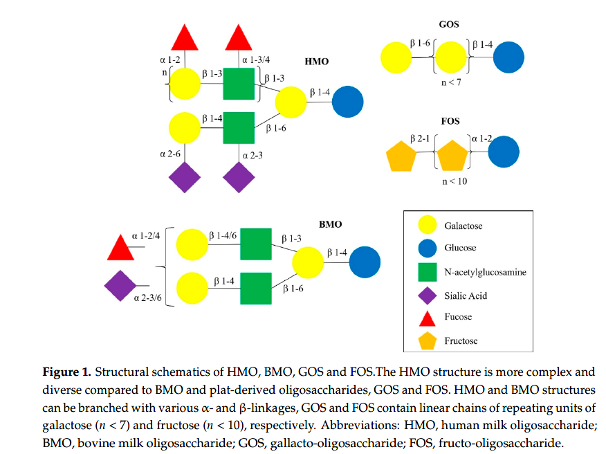 Do Human Milk Oligosaccharides Protect Against Infant Atopic Disorders and Food Allergy?