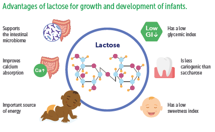 Advantage of lactose for growth and development of infants