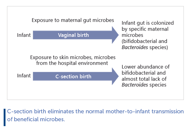 C-section babies have a different microbiome - but not for long