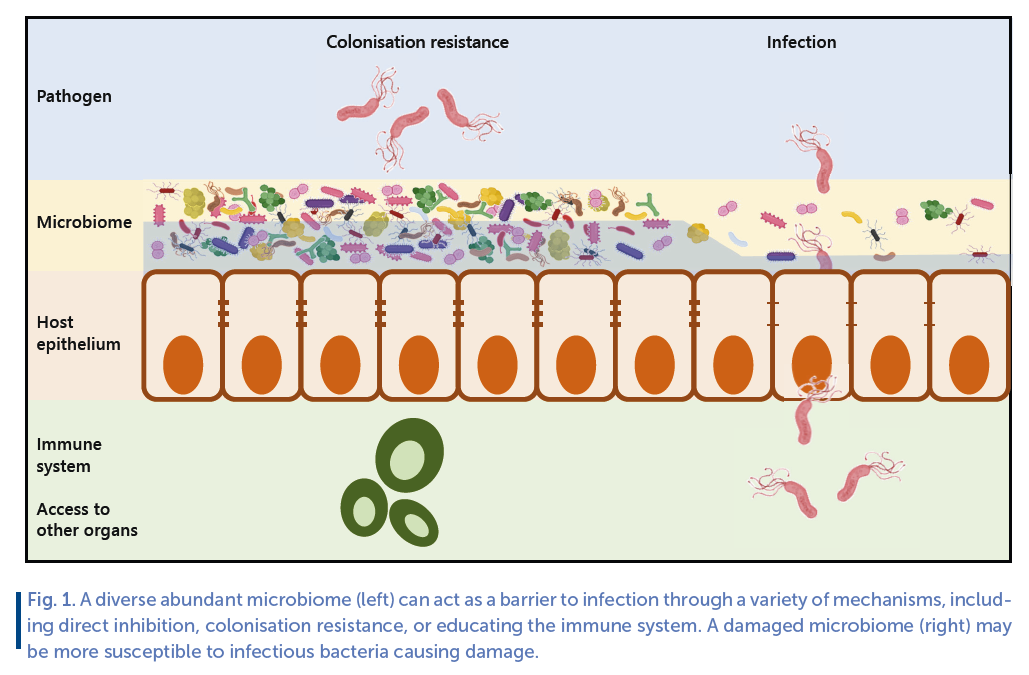 Fig 1. A diverse abundant microbiome.