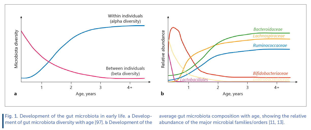 Fig 1. Development of the gut microbiota in early life.