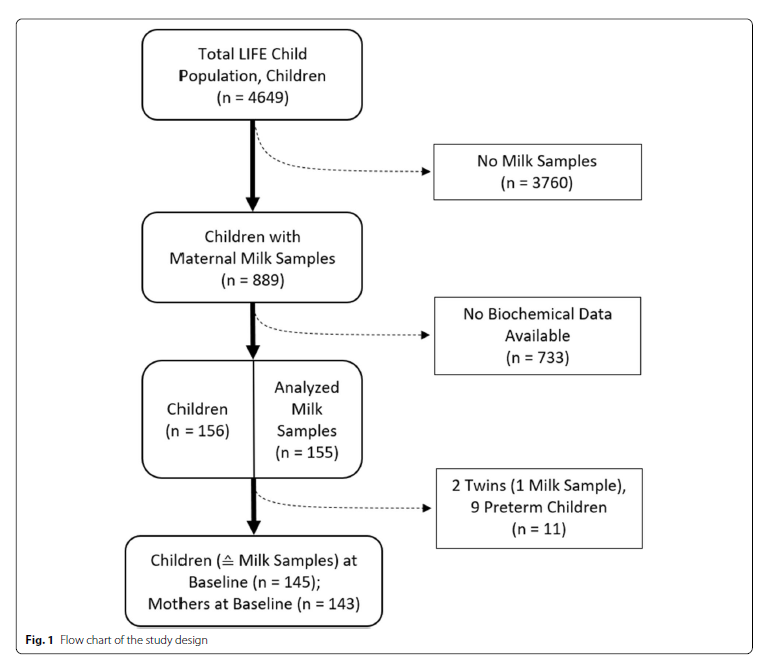 Figure 1. Flow chart of the study design