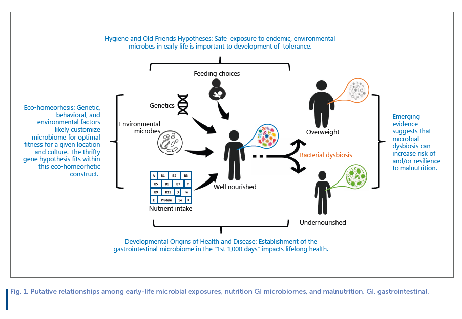 Fig 1. Putative relationships among early-life microbial exposures