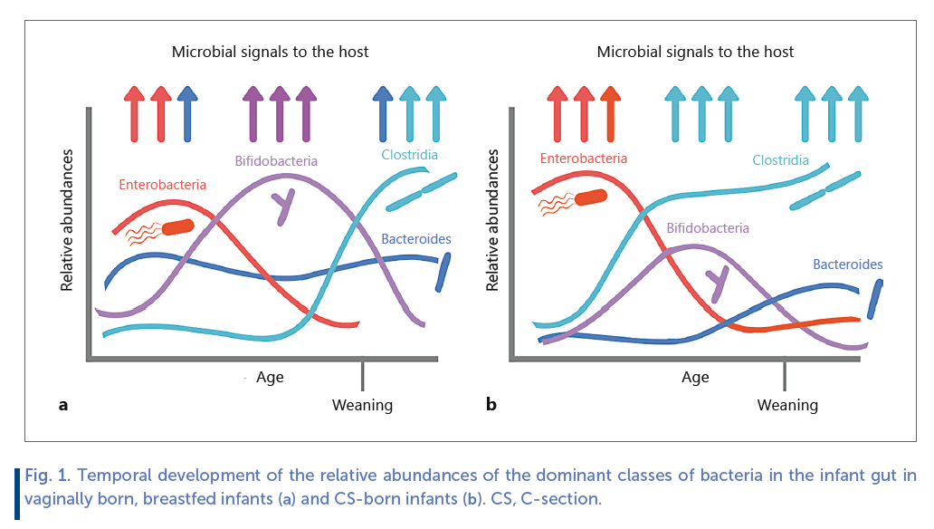 Fig 1. Temporal development of the relative abundances