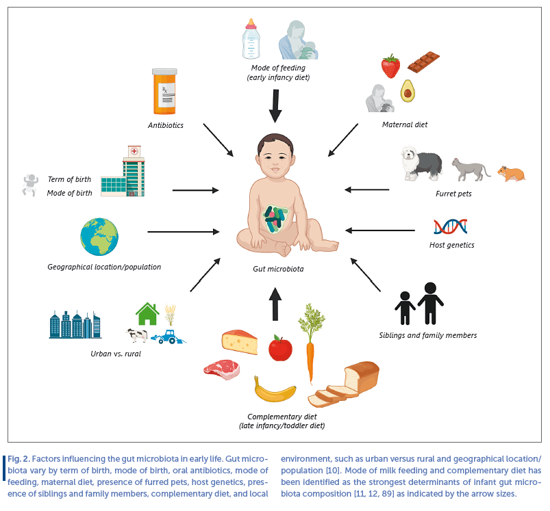 Fig 2. Factors influencing the gut microbiota in early life