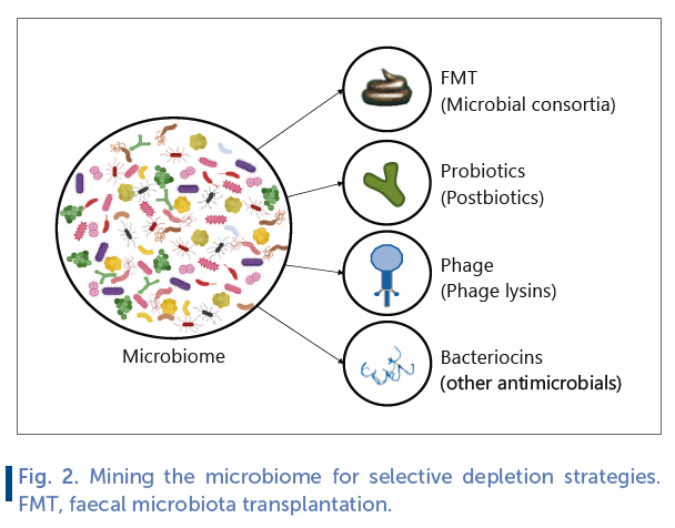 Fig 2. Mining the microbiome.
