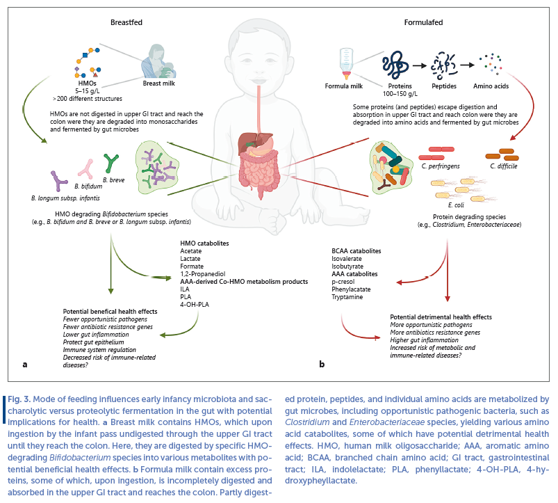 Fig 3. Mode of feeding influences early infancy microbiota