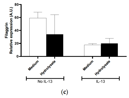 Filagin expression