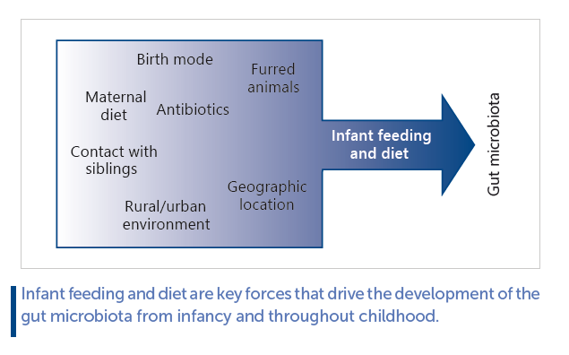 Influence of Diet from Infancy to Toddlerhood 