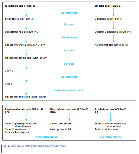  Long-Chain Polyunsaturated Fatty Acids Supplementation