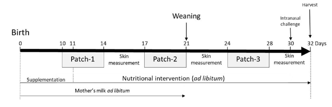 Nutritional intervention diagram