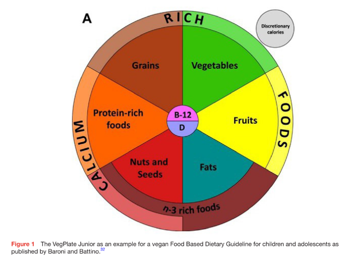 Diet and growth of vegetarian and vegan children