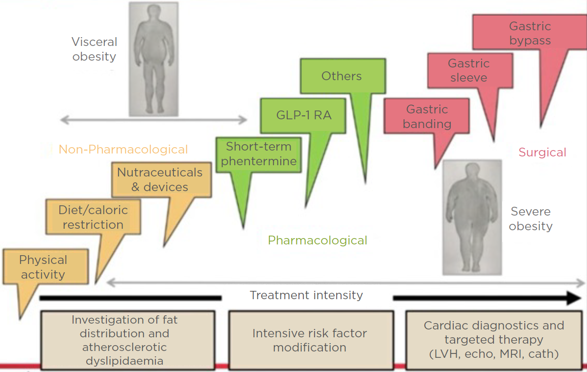 Visceral obesity chart