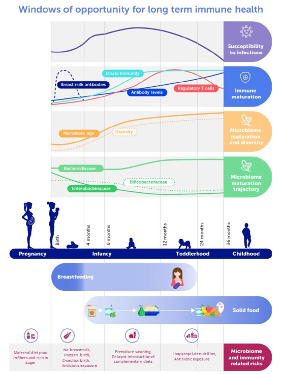Windows of opportunity for long term immune health 