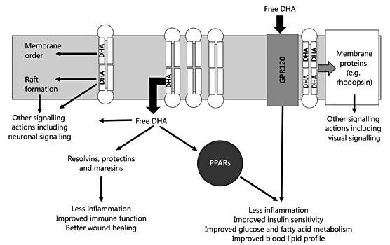 fig 7