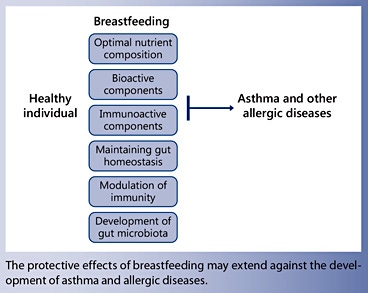 https://www.nestlenutrition-institute.org/sites/default/files/inline-images/anm457920_m01x.jpg