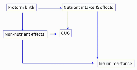 Blog_graph