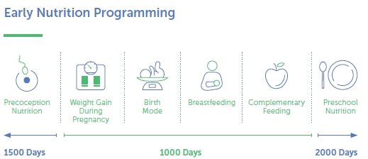 Early Nutrition Programming