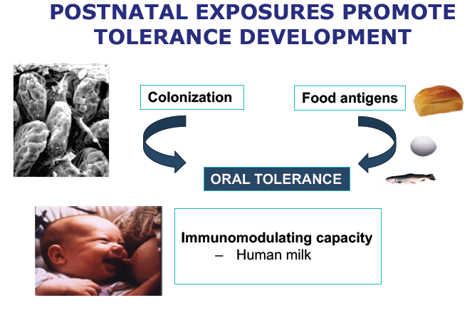 espghan-proceeding-optimizing-the-approach-to-cow-s-milk-protein-allergy