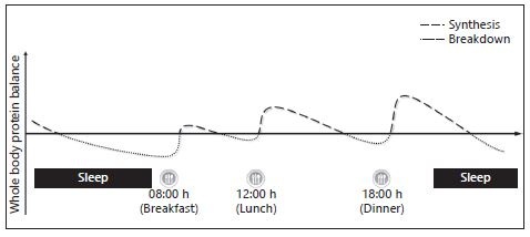 fig1e