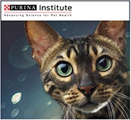 Purina Cat