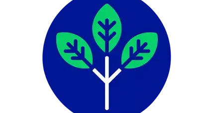 Foundations Logo