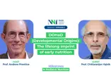 DOHaD