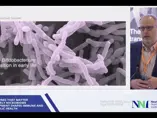 The bifidobacterium transition in early life