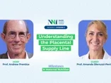 Understanding the Placental Supply Line