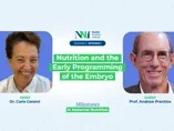 Nutrition and the Early Programming of the Embryo