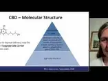 CBD: an Active Ingredient in Topical Products Dr. Antonella Casiraghi