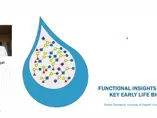 Functional insights in HMOs, Key early life bioactives Functional insights in HMOs, Key early life bioactives