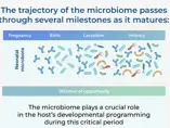 Microbiome Maturation Trajectory and Key Milestones in Early Life Microbiome Maturation Trajectory and Key Milestones in Early Life