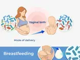 An Overview of Early-Life Gut Microbiota Modulation Strategies An Overview of Early-Life Gut Microbiota Modulation Strategies