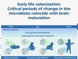 Microbiome and Brain Development: A Tale of Two Systems