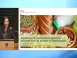 Importance of macronutrient quality for balanced diets: An example of carbohydrates Importance of macronutrient quality for balanced diets: An example of carbohydrates