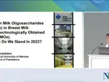 HMOs in Breast Milk and Technologically Obtained HMOs, Where Do We Stand in 2023?