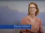 NNIW 100 Interviews: Paula Hallam NNIW 100 Interviews: Paula Hallam