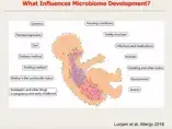 The Development of the Gut Microbiome and its Role (videos) The Development of the Gut Microbiome and its Role (videos)