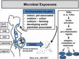 The Role of the Gut Microbiome in Early Immune Development and Allergies (videos) The Role of the Gut Microbiome in Early Immune Development and Allergies (videos)