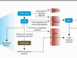 Video Teaser: Human Milk Oligosaccharides: just a Sugar or Nature’s secret Weapon (videos) Video Teaser: Human Milk Oligosaccharides: just a Sugar or Nature’s secret Weapon (videos)