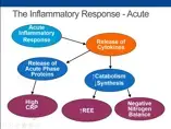 The Adult Malnutrition Consensus Criteria: How to Apply to Your Practice (videos) The Adult Malnutrition Consensus Criteria: How to Apply to Your Practice (videos)