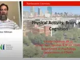 NNIW95: Physical Activity, Brain and Cognition (videos)